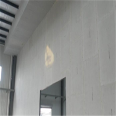 枞阳宁波ALC板|EPS加气板隔墙与混凝土整浇联接的实验研讨